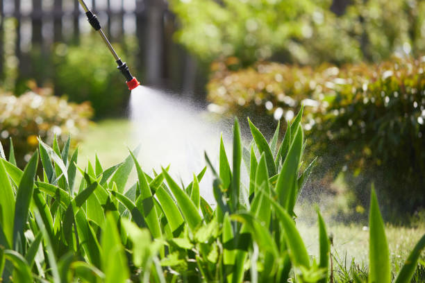 24/7 Emergency Wasp Removal experts in Fairfield Plantation, GA