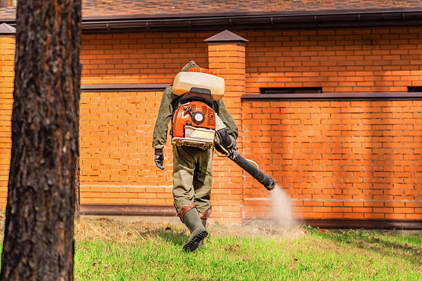 Top rated local Wasp Removal specialists in Fairfield Plantation, GA
